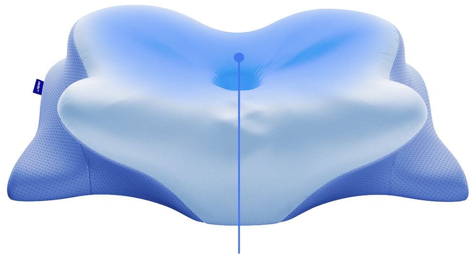Diagram of the Derila Ergo pillow showing its raised side wings and lowered central core