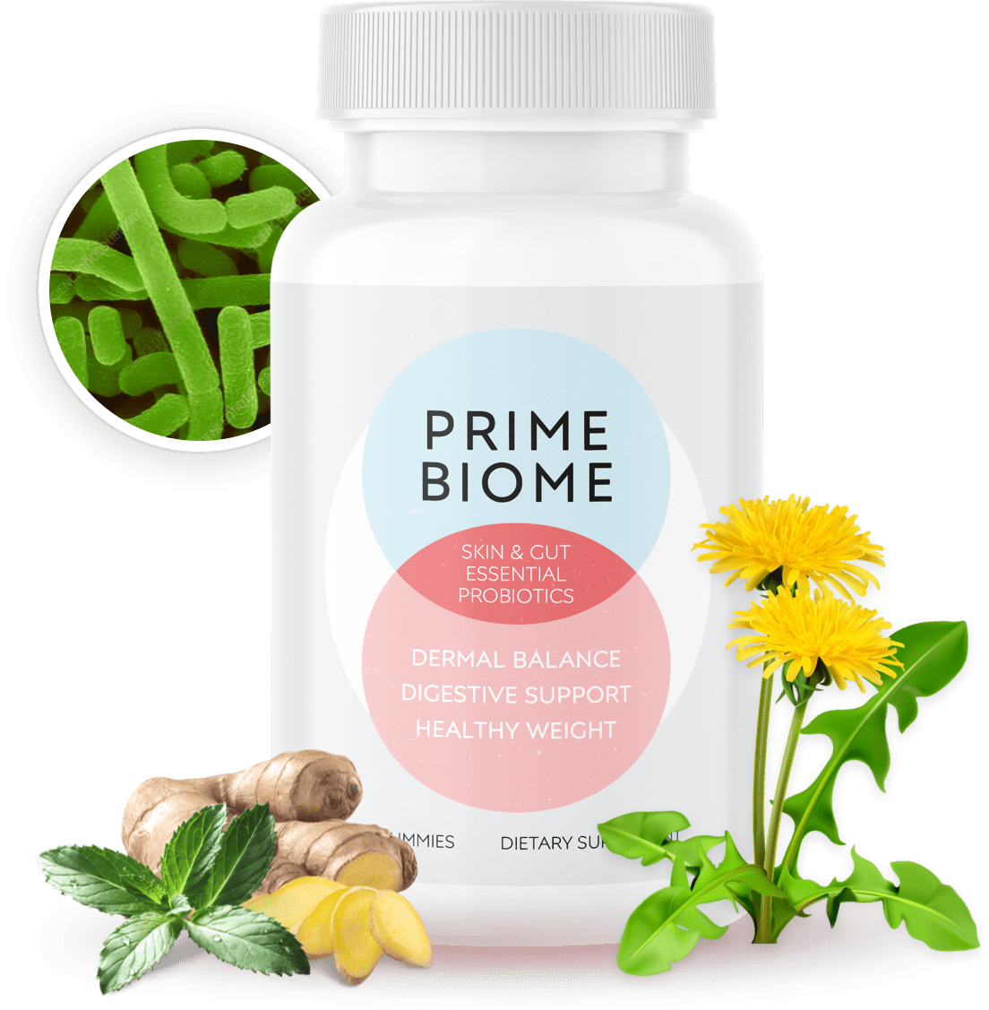 PrimeBiome bottle with its label's blue and pink overlapping circles, surrounded by ginger, dandelion and the probiotic culture it contains